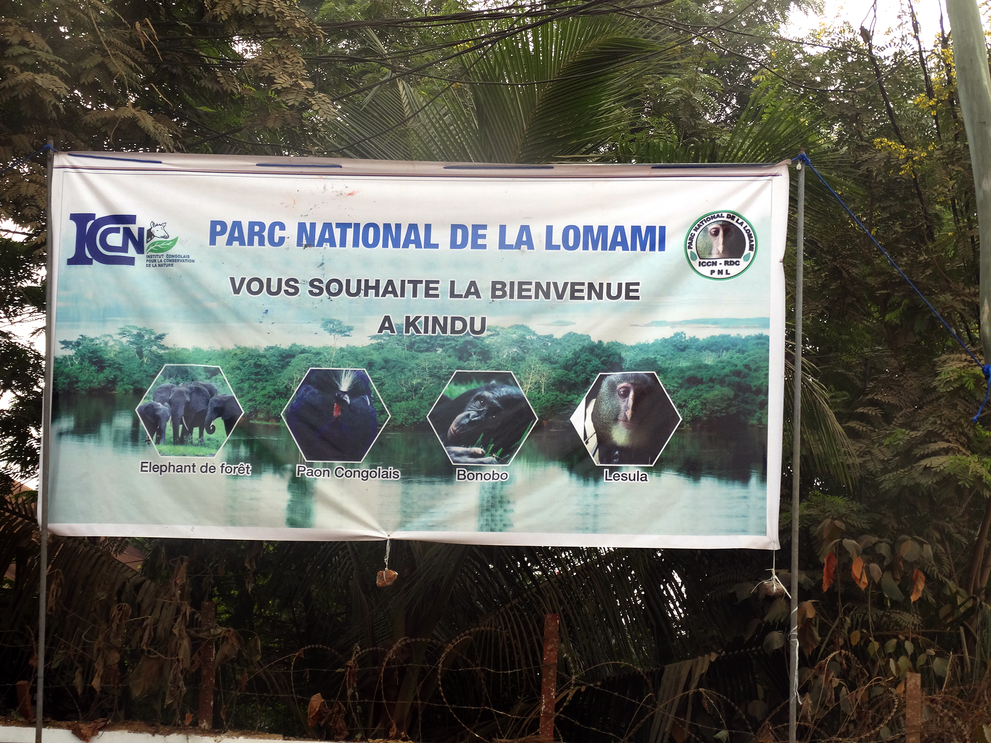 Conservation : Le Parc national de la Lomami sera  désormais co-géré par l’ICCN et la Société Zoologique de Frankfurt