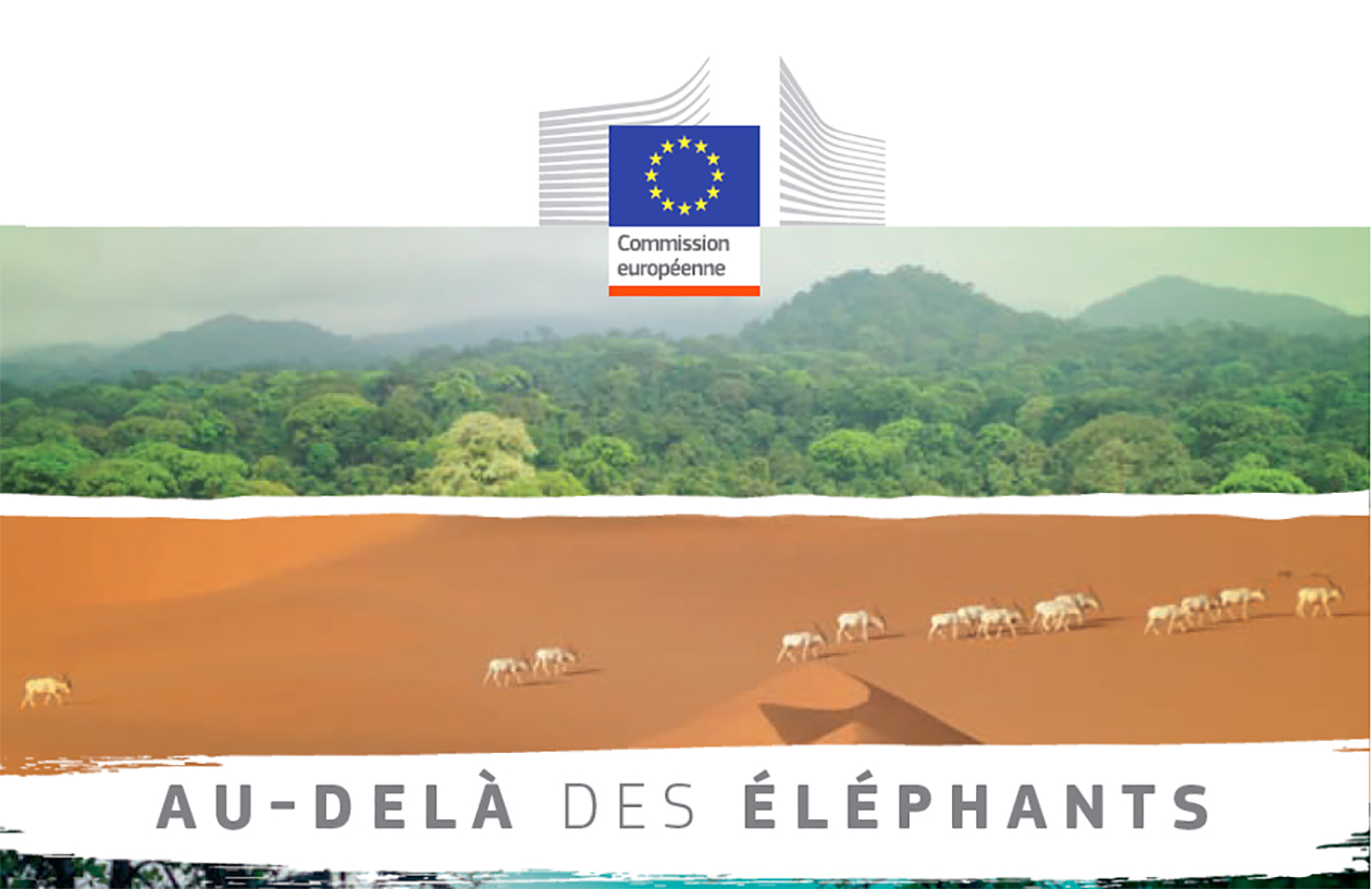 Biodiversité : l’Union européenne présente son approche stratégique pour la conservation en Afrique