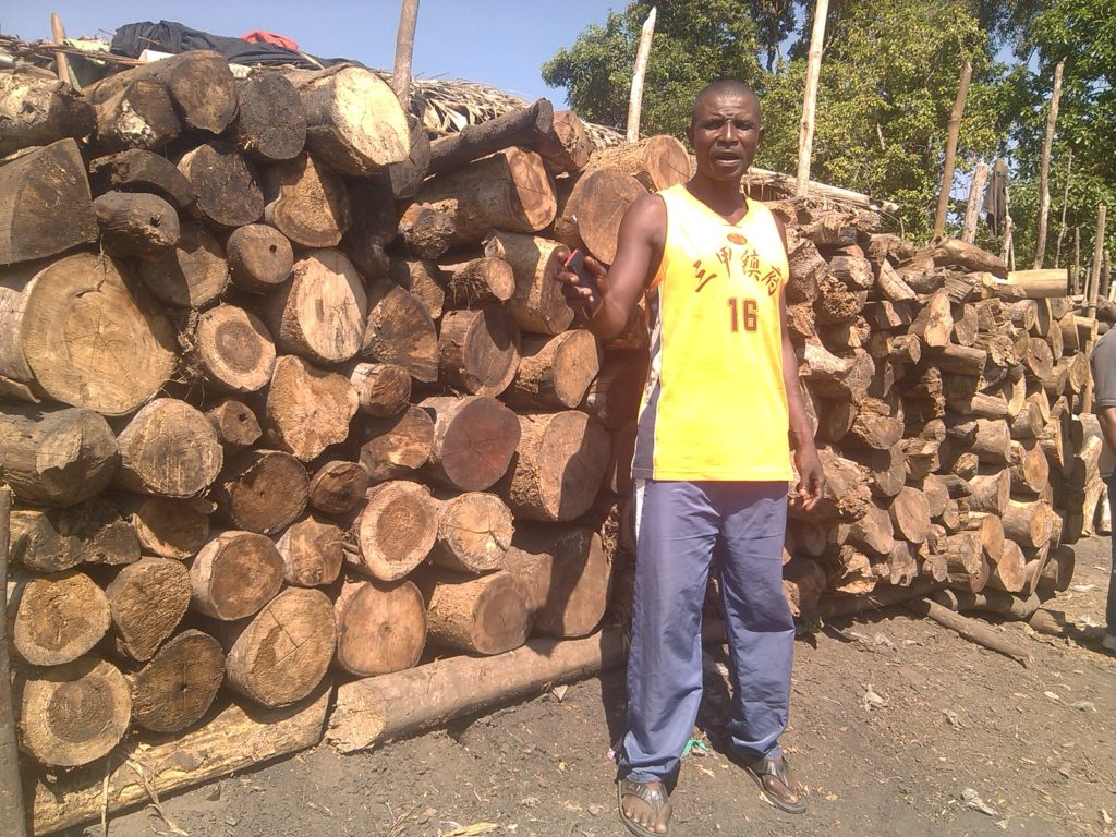 Forêt : Forêts durables et bois énergie, les hauts et les bas des solutions scientifiques en RDC