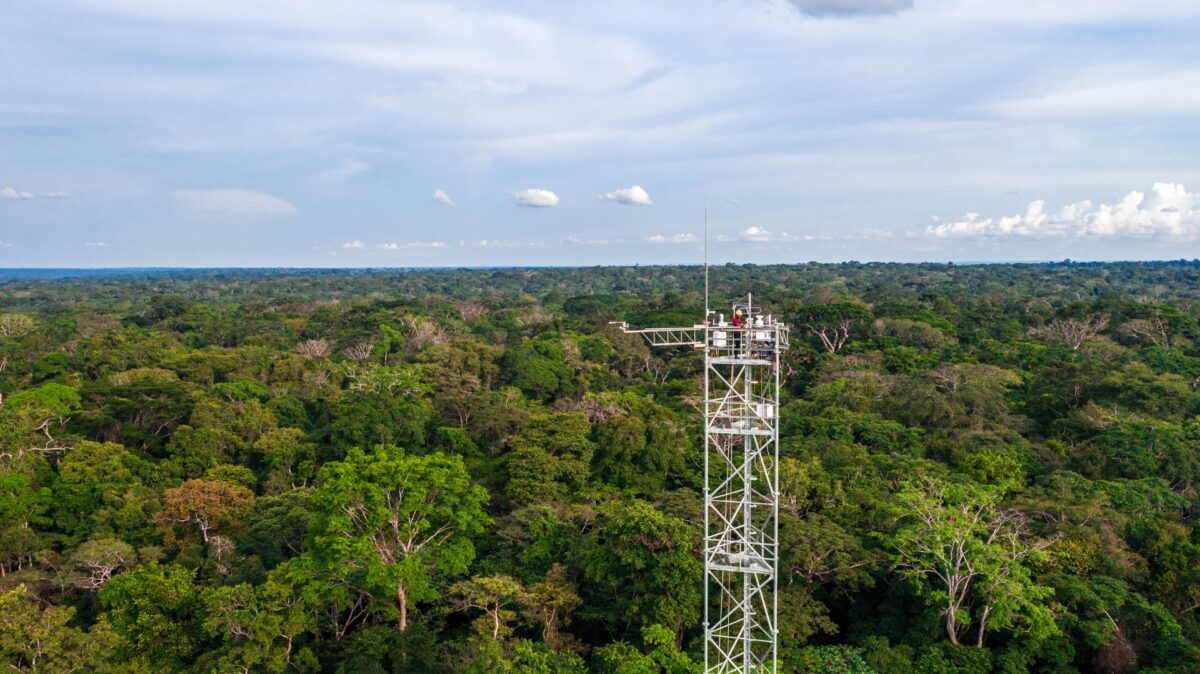 Forêt : Bientôt une tour à flux dans le Miombo pour évaluer le potentiel carbone du sud de la RDC