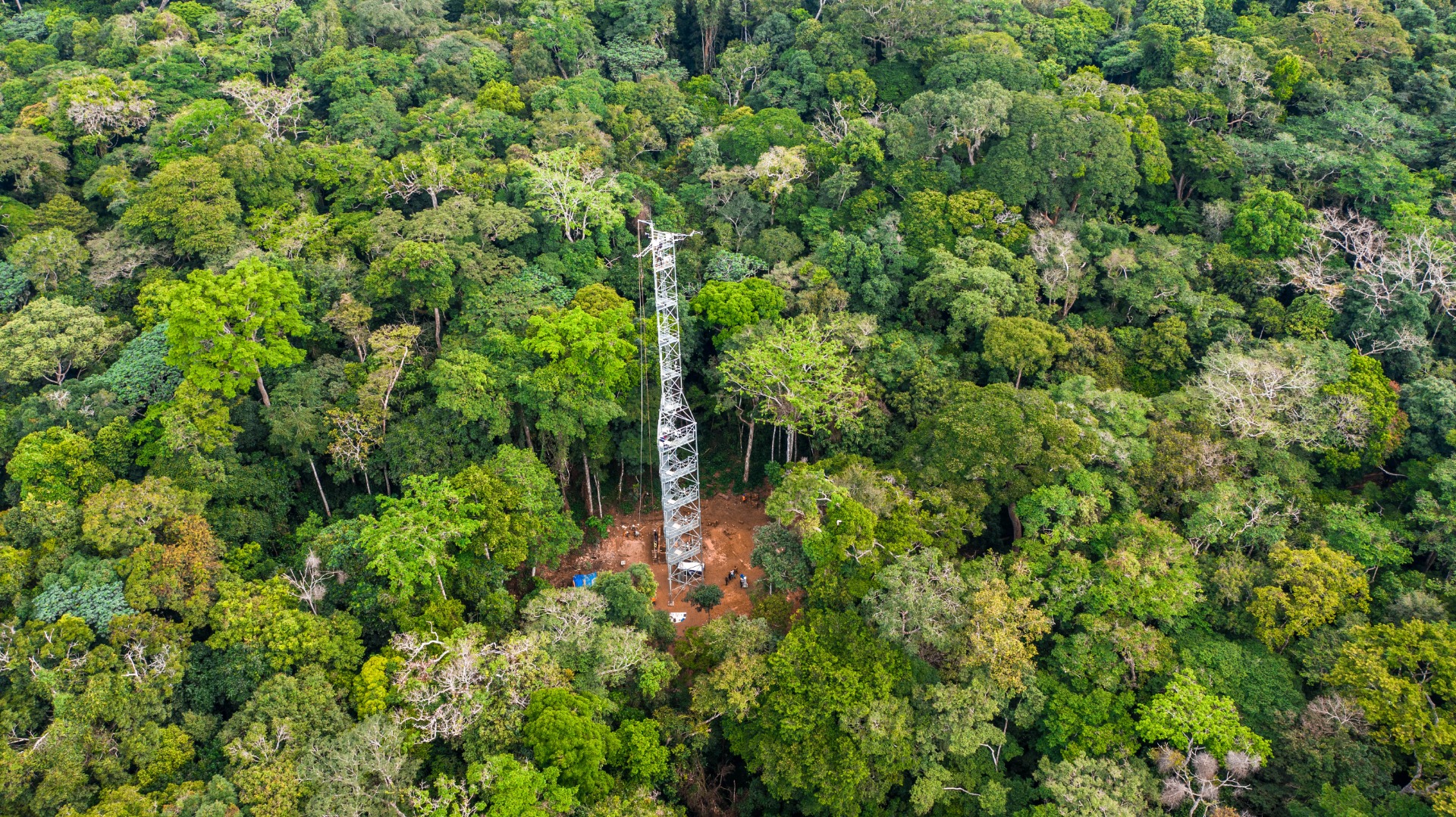 Climat : Pre-COP 27, c’est parti avec le segment scientifique à Yangambi (RDC)