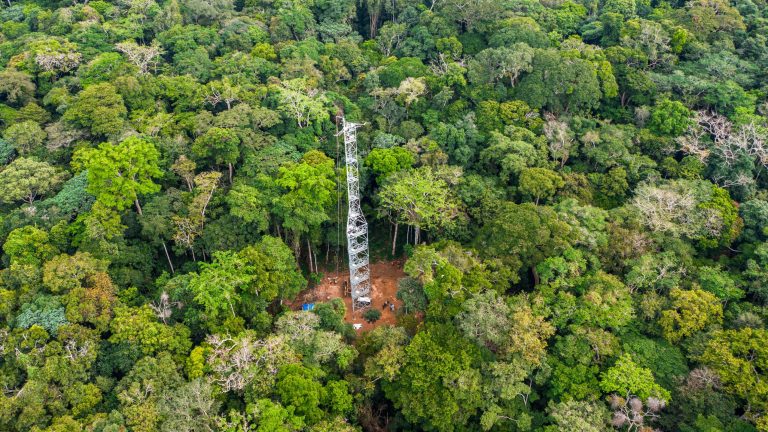 Forêt : 8 millions de livres sterling du Royaume-Uni au CIFOR pour étendre les activités du projet Yangambi