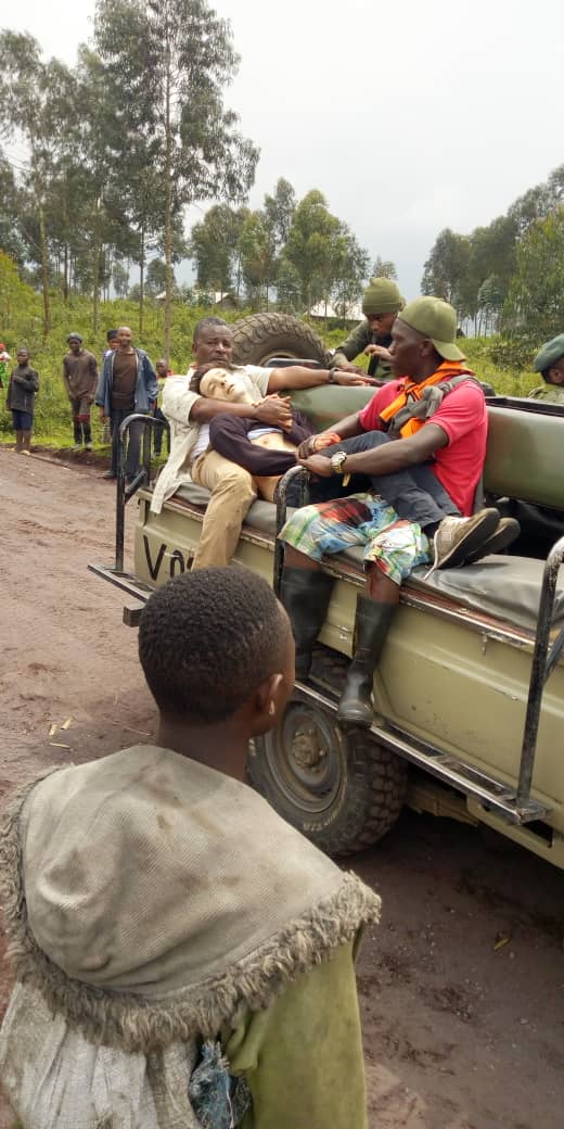 Conservation : Attaque dans les Virunga, l’Ambassadeur d’Italie, son garde du corp et le chauffeur du PAM sont tous morts