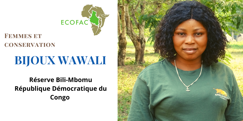 Conservation : ECOFAC6 soutient le rôle des femmes comme pilier de la conservation environnementale en Afrique Centrale