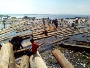 Forêt : Exploitation artisanale du bois, le RENOI interpelle Eve Bazaiba sur les illégalités dans les ports de Kinshasa