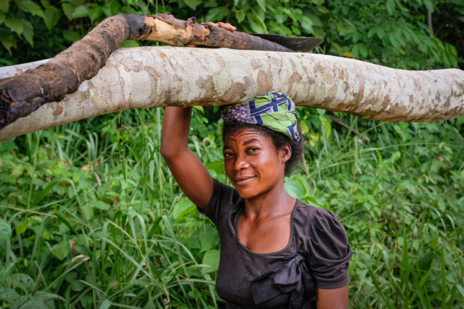 Forêt : « Forêts d’avenir », un nouveau projet pour booster le développement des communautés locales en RDC