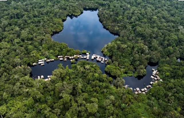 Forêt : Le ministre provincial de l’environnement de Mai-Ndombe accusé de détournement