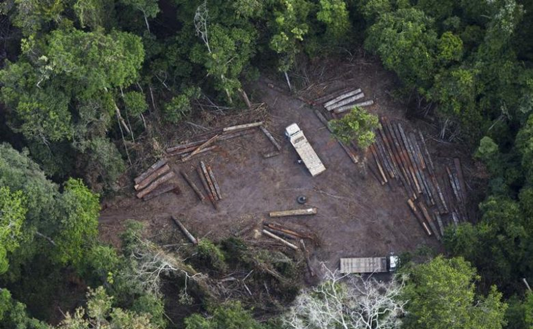 Aménagement du territoire : Greenpeace Afrique demande au gouvernement congolais de suspendre la “réforme” en cours