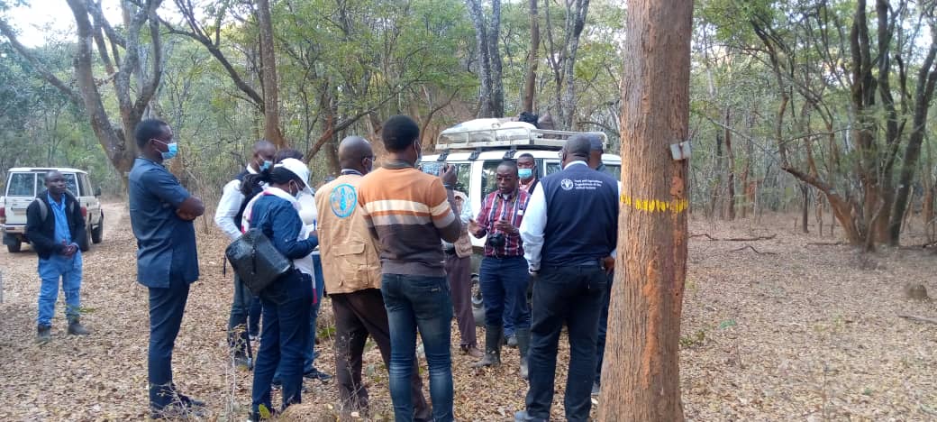 Haut-Katanga : Le représentant de la FAO en RDC alerte sur le danger qui guette la forêt Claire de Miombo