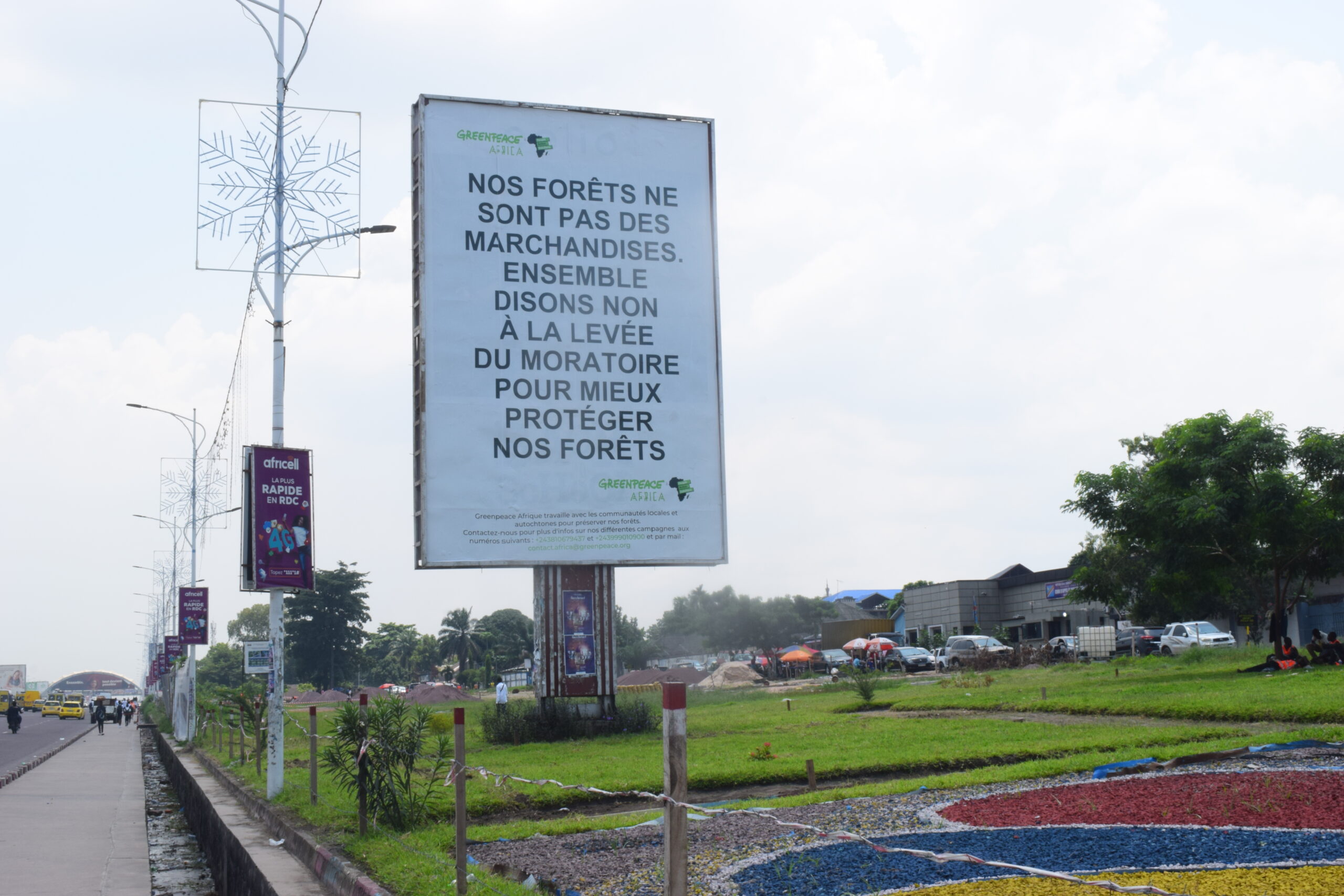 Forêt : Greenpeace Afrique dénonce le non-respect de l’accord signé entre la RDC et CAFI à la COP 26