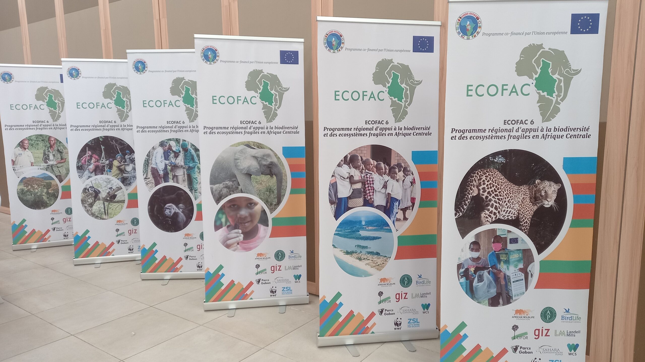 Conservation : Le Comité de suivi national de la RDC actualise ses recommandations au programme ECOFAC6