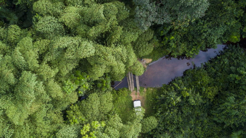 Conservation : Justicia Asbl alerte de nouveau sur la spoliation des parcs Upemba et Kundelungu