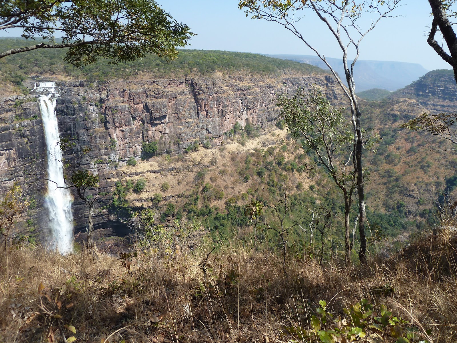 Biodiversité : Le président Félix Tshisekedi interpellé sur la spoliation du parc national de l’Upemba