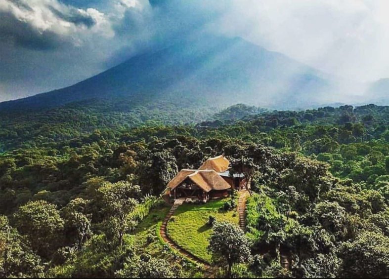 Conservation : Des ONG dénoncent une décision illégale de Mohindo Nzangi de construire une université dans le parc des Virunga