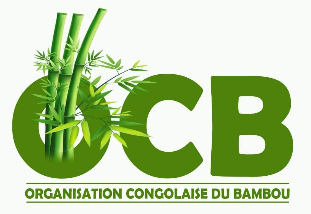 Environnement : Sama Lukonde favorable à l’adhésion de la RDC à l’Organisation Internationale du Bambou et du Rotin (INBR)