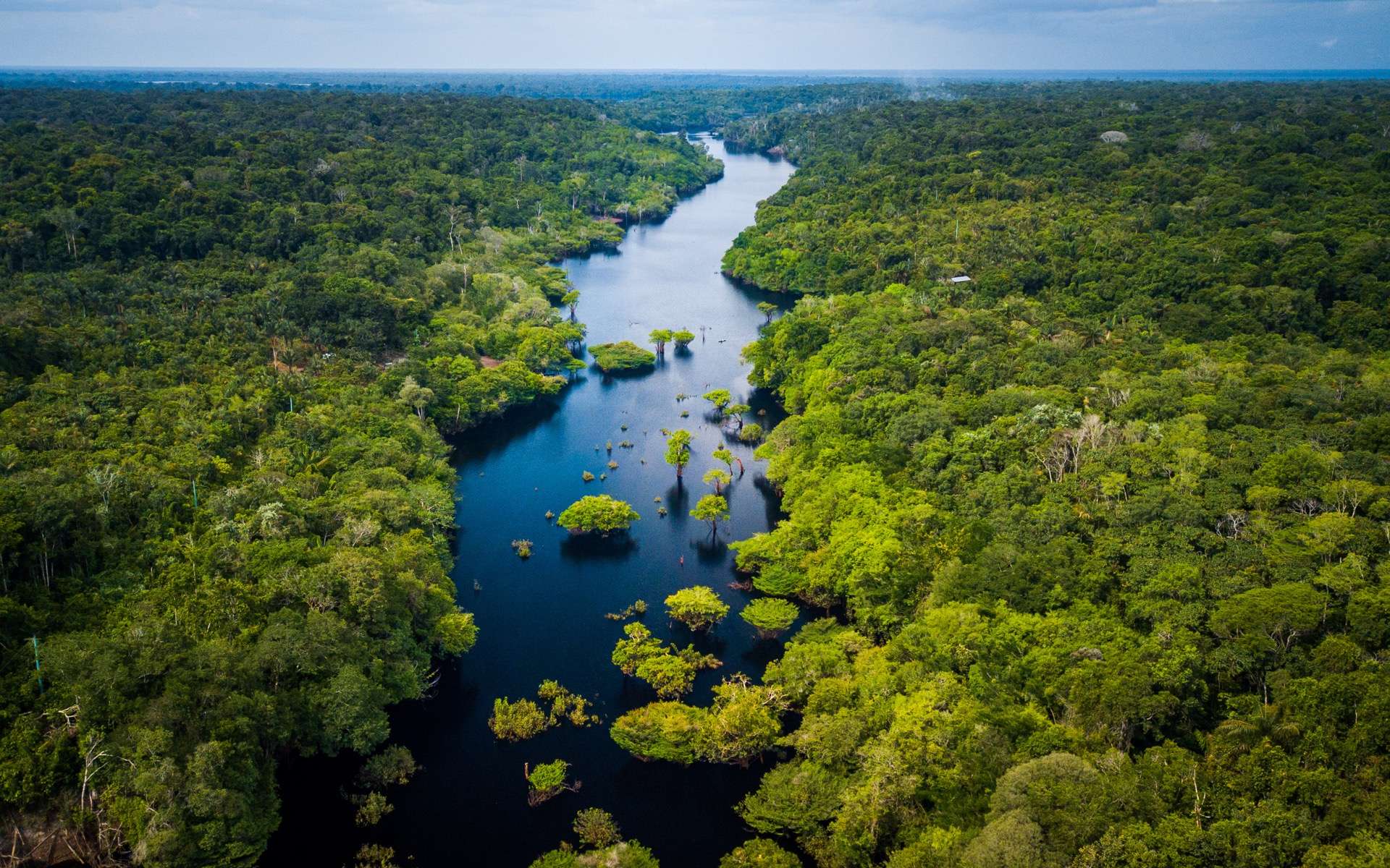 Forêt : « Tobatela Salonga », un nouveau projet pour promouvoir le développement socioéconomique des riverains du parc national de la Salonga