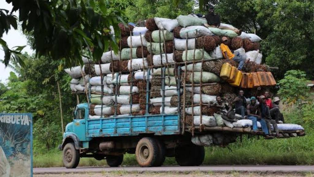 Haut-Katanga : A Lubumbashi, plus de 98% des ménages utilisent le charbon de bois quotidiennement (Etudes CIRAD)