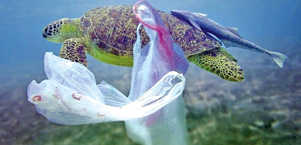 Environnement : Vers un traité international sur le plastique (Assemblée des nations unies)