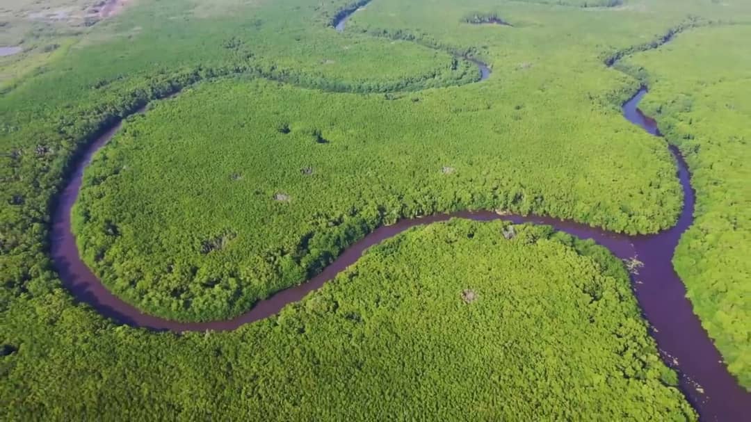 Eau : Disparition accélérée des zones humides, la direction des ressources en eau réfléchit sur les actions concrètes