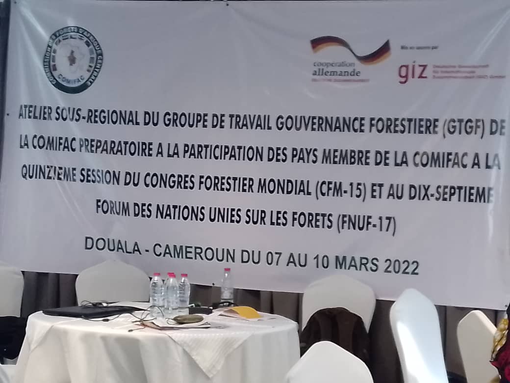 Forêt : Le Groupe de Travail Gouvernance forestière de la COMIFAC prépare la position commune du bassin du Congo à Douala