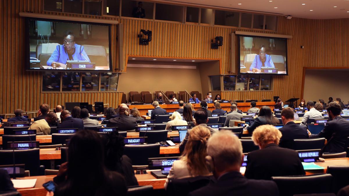 Forêt : Ouverture de la 17ème session du Forum des nations unies sur les forêts à New York