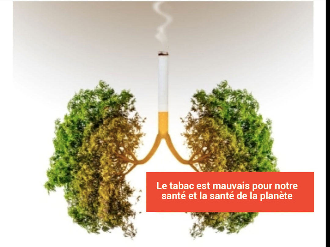 Santé : Lutte anti tabac, ILDI plaide pour la fiscalité du tabac en RDC