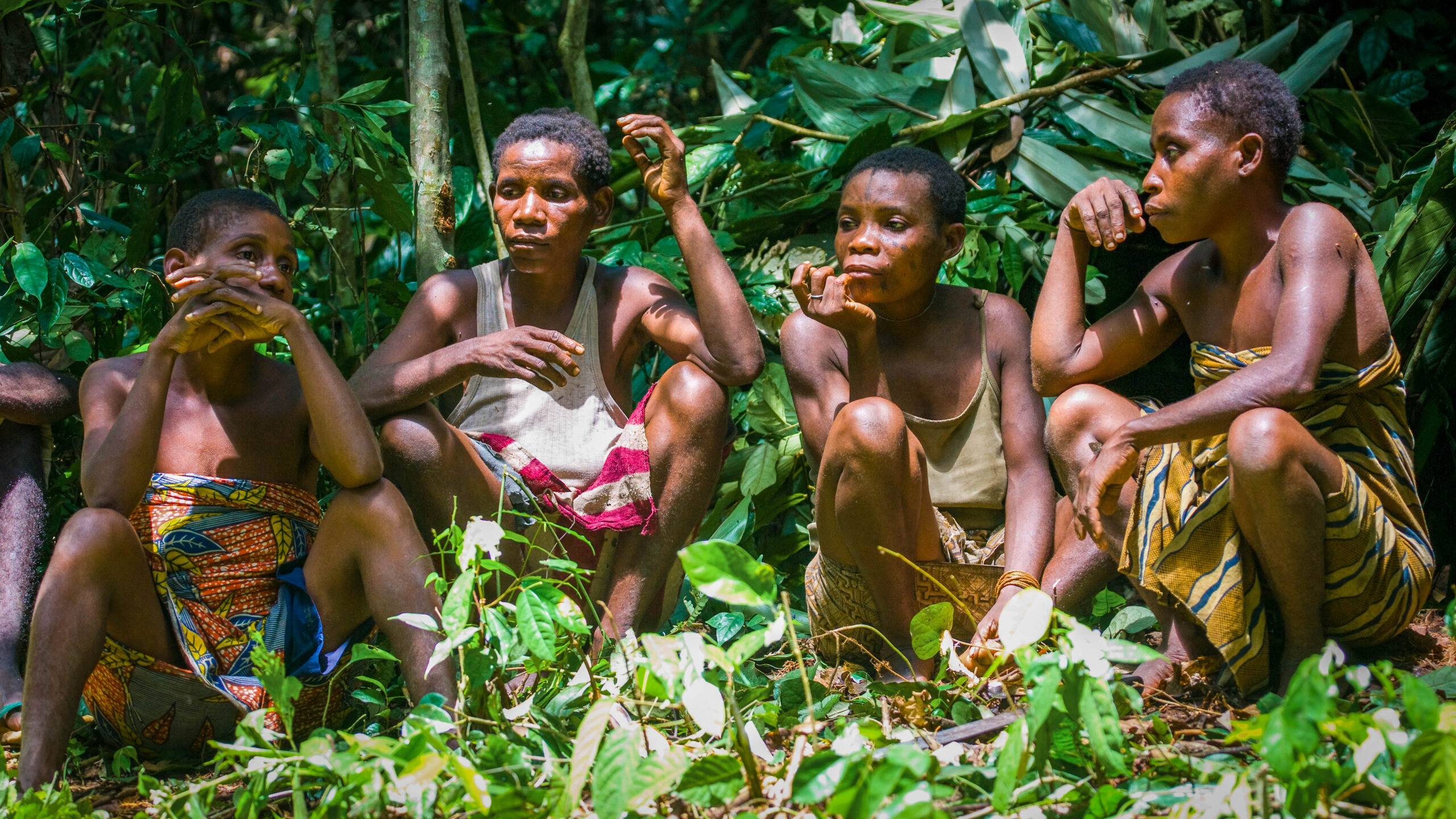 JIPA 2022 : Les autochtones pygmées de la RDC veulent la sécurisation de leurs terres et leur implication dans la prise de décisions