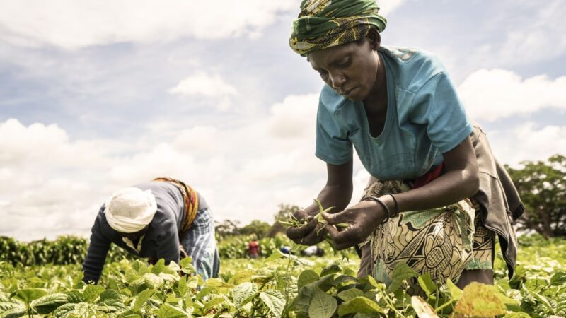 GLF Africa 2022 : L’Afrique réfléchit sur comment construire la résilience pour le futur de l’alimentation et du continent ?