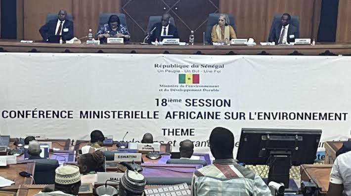 Climat : Les résultats de la 18e session de la CMAE, une autre solution aux problèmes environnementaux de l’Afrique ? 