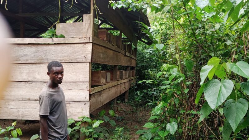 Forêt : Redevabilité du PIREDD Mai-Ndombe, APEM dénote des incohérences entre la planification et l’exécution