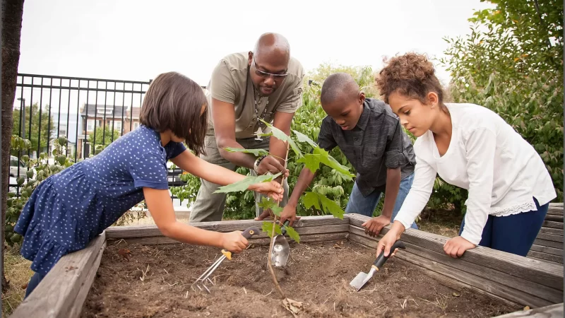 Environnement : Les députés rebondissent sur le projet d’éducation environnementale en RDC