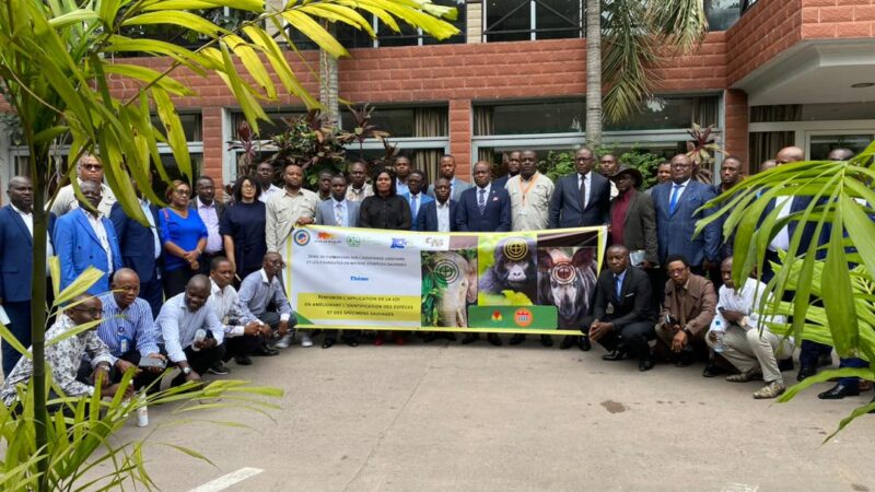 Conservation : AWF et ICCN forment les OPJ sur les infractions liées à la criminalité faunique en RDC