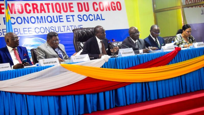 Développement durable : Le Conseil économique et social de la RDC adopte deux projets de développement