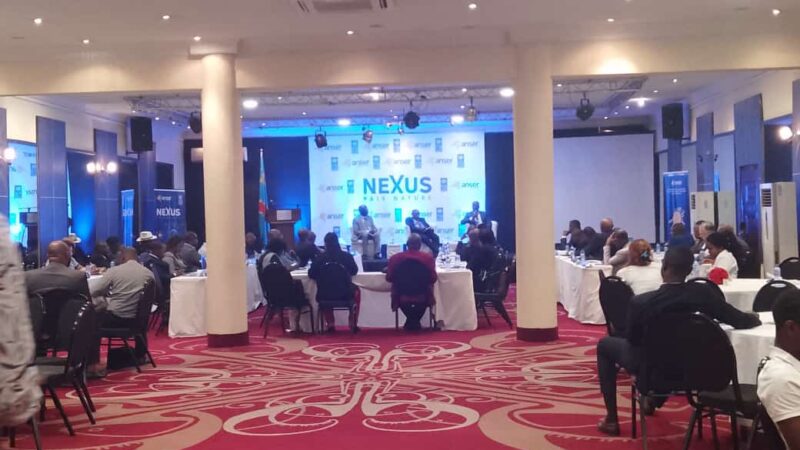 Energie : L’ANSER et le PNUD se mobilisent pour le projet Nexus Nature-paix, en faveur des populations de la RDC