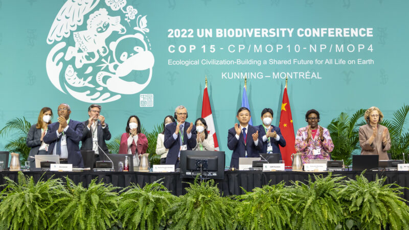 COP15 : Le Cadre mondial de la biodiversité post-2020 adopté, l’Afrique crie à la fraude