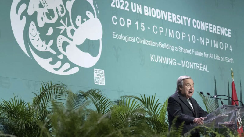 COP 15 : António Guterres invite les nations à faire la paix avec la nature