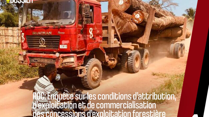 RDC : Congo King Baisheng, la société d’exploitation de bois la plus critiquée de Mongala