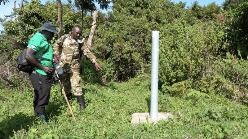 Conservation : La réaffirmation de frontière entre la RDC et l’Ouganda a aidé à éviter l’envahissement de la Réserve naturelle de Sarambwe