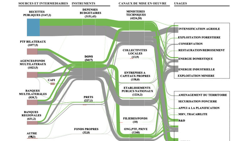 Forêts : Présentation des résultats de l’analyse des flux financiers liés à la REDD+ en RDC