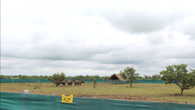 Conservation : African Parks met en place un comité indépendant pour la résolution des griefs et la protection des droits humains