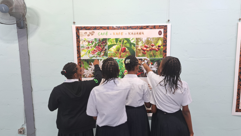 Agriculture : Le café à l’honneur dans une exposition à Kinshasa