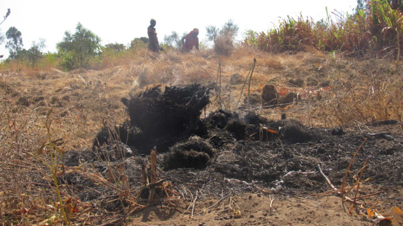 RDC-Burundi : Les Forêts et les parcs  victimes de l’exiguïté et de l’infertilité des champs familiaux