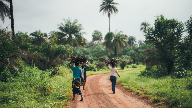 Climat : Les rapports sur le changement climatique doivent refléter les défis énergétiques uniques des pays africains