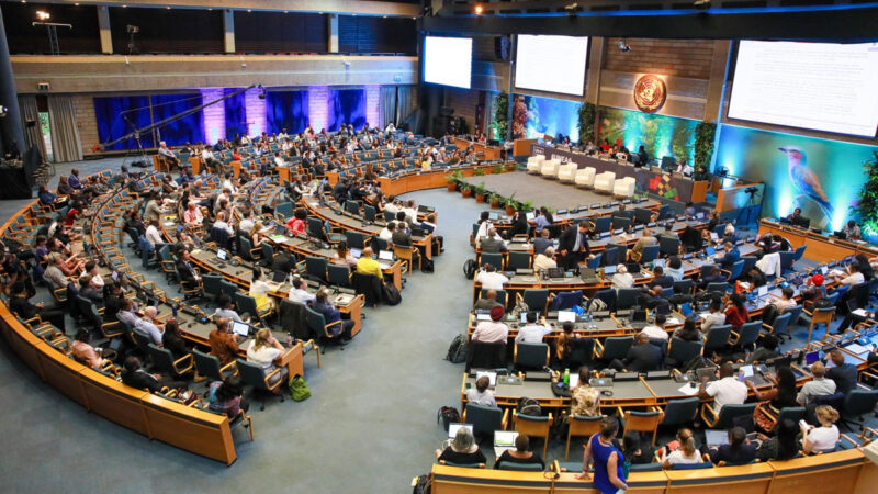 Nairobi : début des travaux de la sixième assemblée des nations unies pour l’Environnement