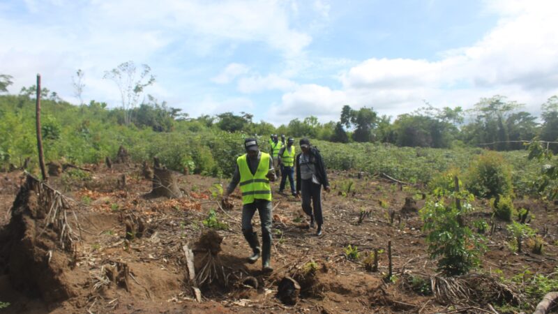 Forêt : L’OGF alerte sur l’exploitation forestière illégale et l’expansion agricole non durable dans la réserve de Luki