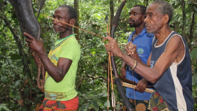 PFBC-Kinshasa : Le respect des droits humains dans la gestion des forêts du bassin du Congo au coeur des échanges