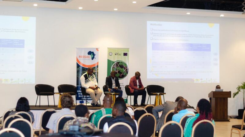 PFBC-Kinshasa : Le CIFOR-ICRAF va mener des études complémentaires en appui à la gestion durable des écosystèmes forestiers d’Afrique centrale