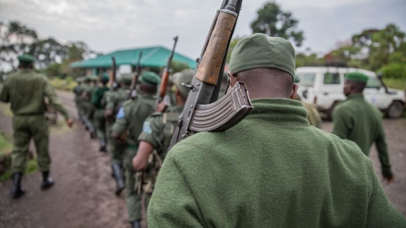 Conservation : La RFN se félicite de la décision de la Cour africaine des droits de l’homme et des peuples en faveur du peuple Batwa de la RDC