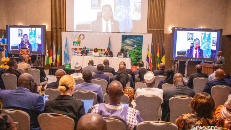 Agriculture : Les pays d’Afrique central invités à s’engager dans la formation et la création d’emplois pour les jeunes (17è réunion de la FAO)