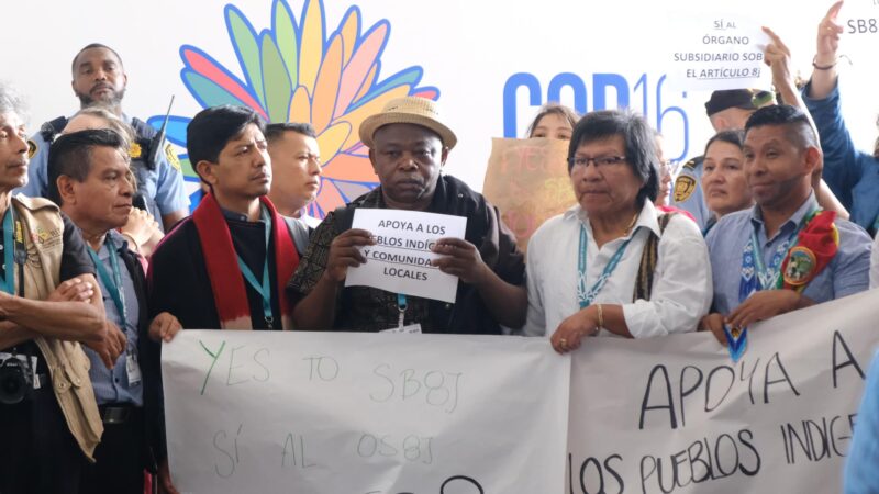 Biodiversité : Sourire aux lèvres, la RDC accueille avec fierté une décision historique de la COP16.